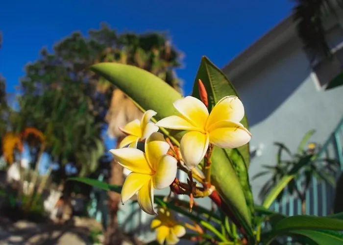 2bd 1ba Sunset 2 3mins To Beach! *
